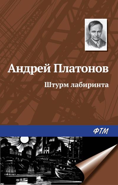 Книга Штурм лабиринта (Андрей Платонов)