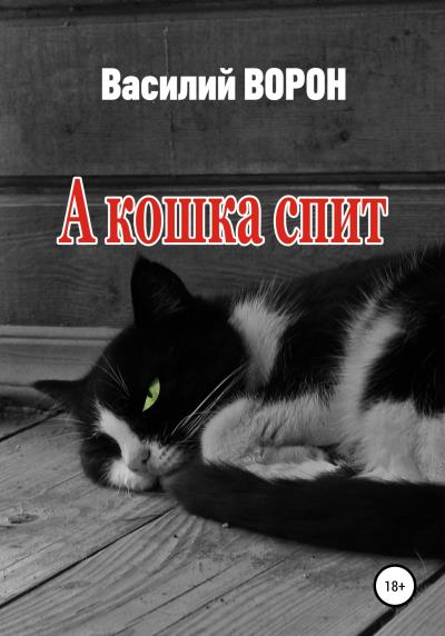 Книга А кошка спит (Василий Ворон)