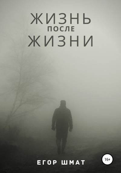 Книга Жизнь после Жизни (Егор Владимирович Шмат)