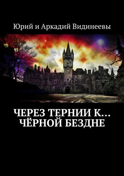 Книга Через тернии к… чёрной бездне (Юрий и Аркадий Видинеевы)