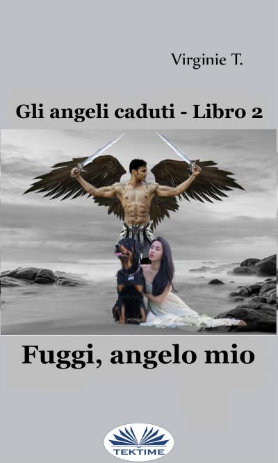 Книга Fuggi, Angelo Mio (Virginie T.)