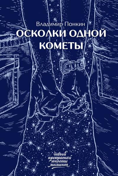 Книга Осколки одной кометы (Владимир Понкин)