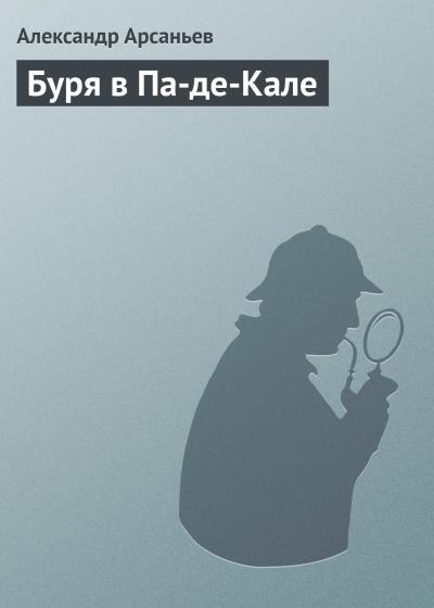 Книга Буря в Па-де-Кале (Александр Арсаньев)