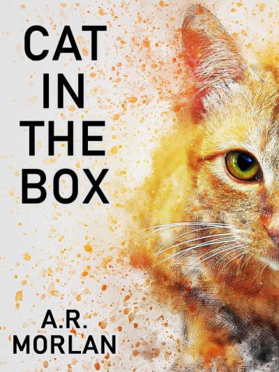 Книга Cat in the Box (A.R. Morlan)