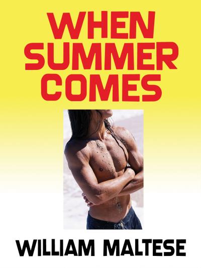 Книга When Summer Comes (William Maltese)