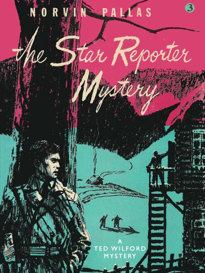 Книга The Star Reporter Mystery (Norvin Pallas)