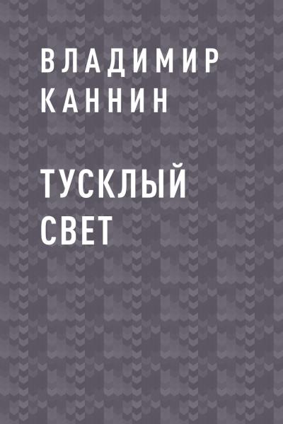 Книга Тусклый свет (Владимир Каннин)