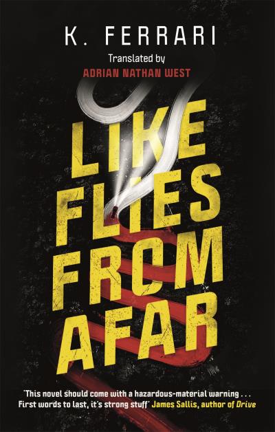 Книга Like Flies from Afar (K. Ferrari)