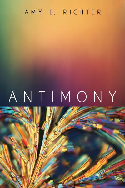 Книга Antimony (Amy E. Richter)