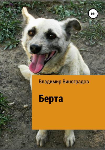 Книга Берта (Владимир Виноградов)