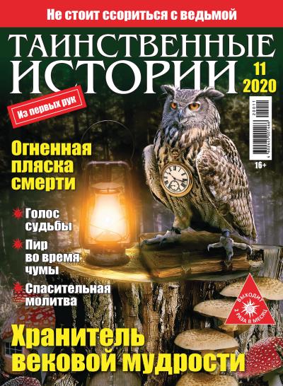 Книга Таинственные истории №11/2020 ()