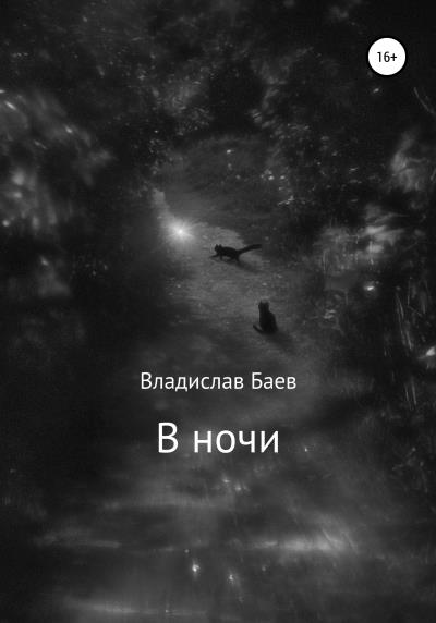 Книга В ночи (Владислав Баев)