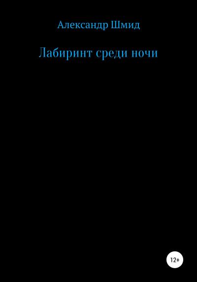 Книга Лабиринт среди ночи (Александр Витальевич Шмид)