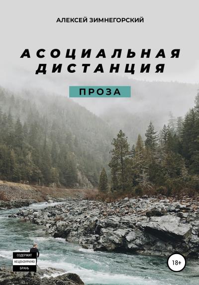 Книга Асоциальная дистанция (Алексей Зимнегорский)