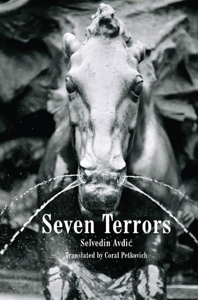 Книга Seven Terrors (Selvedin Avdic)