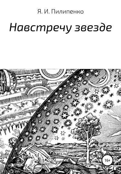 Книга Навстречу звезде (Ярослав Игоревич Пилипенко)