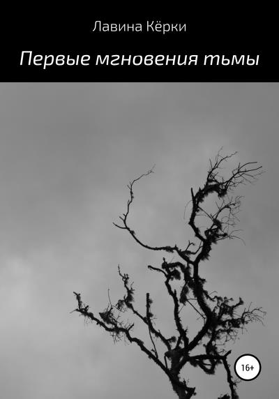 Книга Первые мгновения тьмы (Лавина Кёрки)