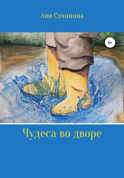 Книга Чудеса во дворе (Аня Сухинина)