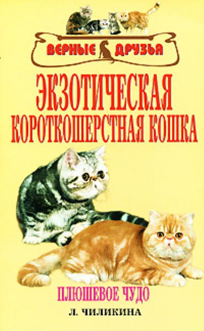 Книга Экзотическая короткошерстная кошка (Л. А. Чиликина)