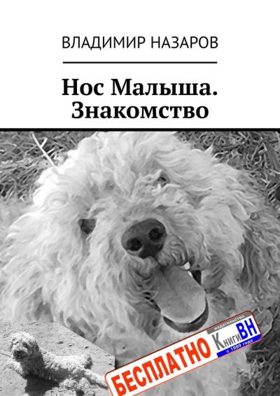 Книга Нос Малыша. Знакомство (Владимир Назаров)