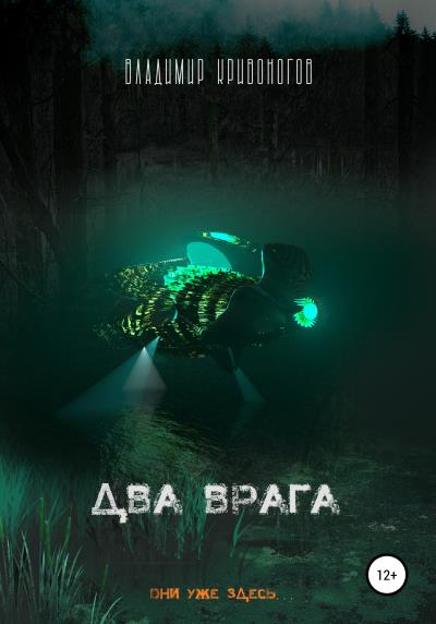 Книга Два врага (Владимир Кривоногов)