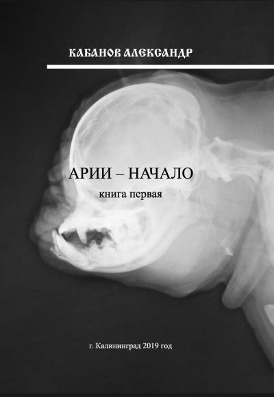 Книга Арии – начало. Книга 1 (Александр Кабанов)