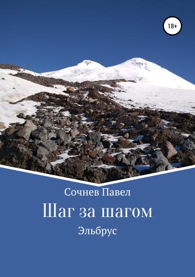 Книга Шаг за шагом (Павел Николаевич Сочнев)