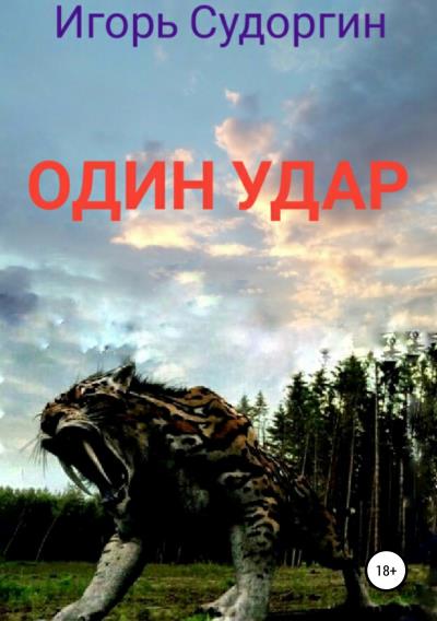 Книга Один удар (Игорь Вячеславович Судоргин)