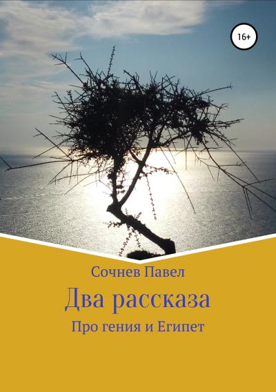 Книга Два рассказа (Павел Николаевич Сочнев)