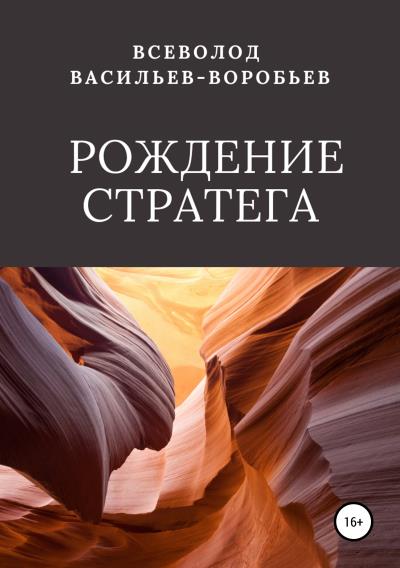 Книга Рождение стратега (Всеволод Константинович Васильев-Воробьев)