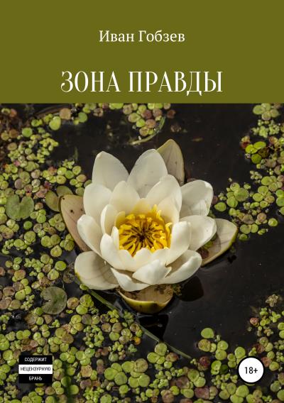 Книга Зона Правды (Иван Александрович Гобзев)