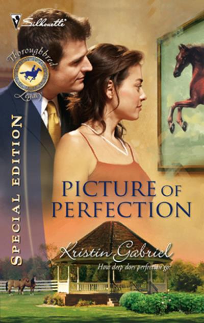 Книга Picture Of Perfection (Kristin  Gabriel)