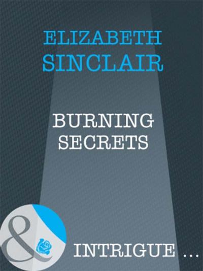 Книга Burning Secrets (Elizabeth  Sinclair)