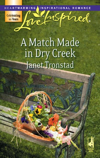 Книга A Match Made in Dry Creek (Janet  Tronstad)