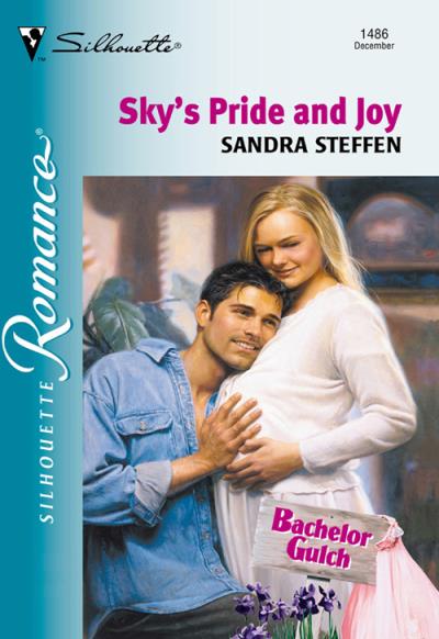 Книга Sky's Pride And Joy (Sandra  Steffen)