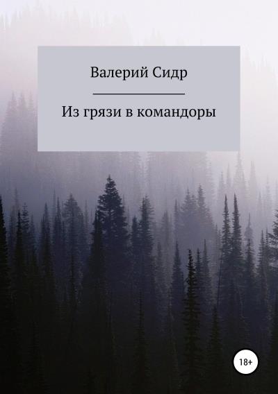 Книга Из грязи в командоры (Валерий Сидр)