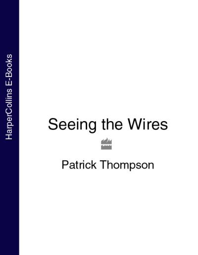 Книга Seeing the Wires (Patrick  Thompson)