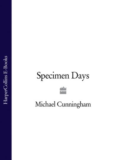 Книга Specimen Days (Michael  Cunningham)