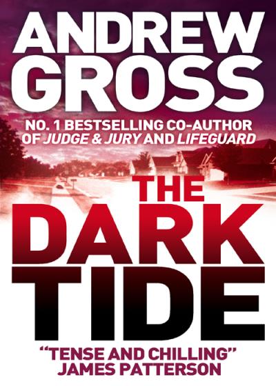 Книга The Dark Tide (Andrew  Gross)