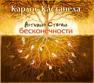 Книга Активная сторона бесконечности (Карлос Кастанеда)