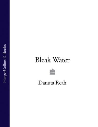 Книга Bleak Water (Danuta  Reah)