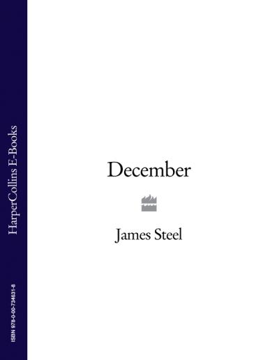 Книга December (James  Steel)