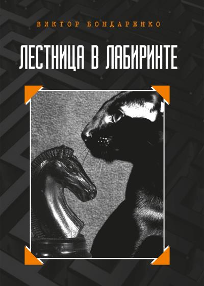 Книга Лестница в лабиринте (Виктор Бондаренко)