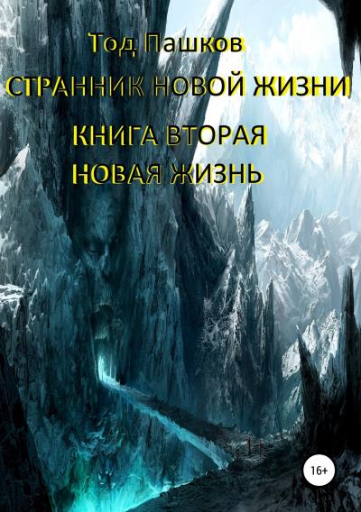 Книга Странник новой жизни. Книга вторая. Новая жизнь (Тод Пашков)