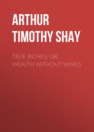 Книга True Riches; Or, Wealth Without Wings (Arthur Timothy Shay)