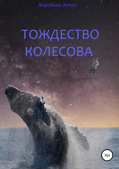 Книга Тождество Колесова (Антон Алексеевич Воробьев)