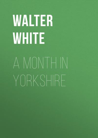 Книга A Month in Yorkshire (Walter White)