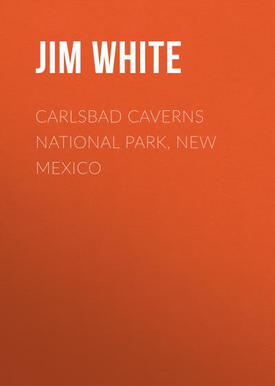 Книга Carlsbad Caverns National Park, New Mexico (Jim White)