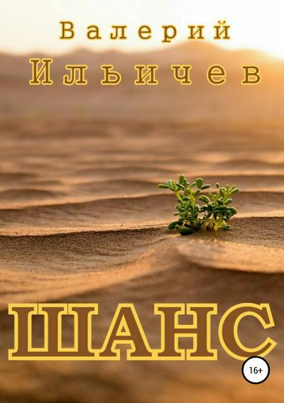 Книга Шанс (Валерий Ильичев)