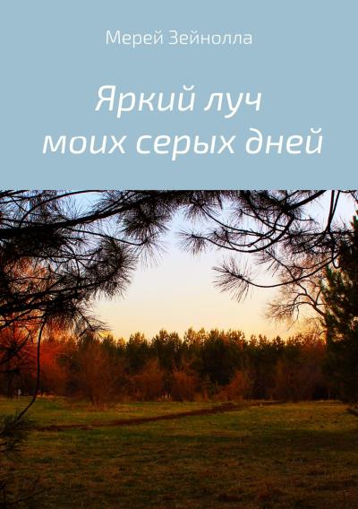 Книга Яркий луч моих серых дней (Мерей Болатовна Зейнолла)